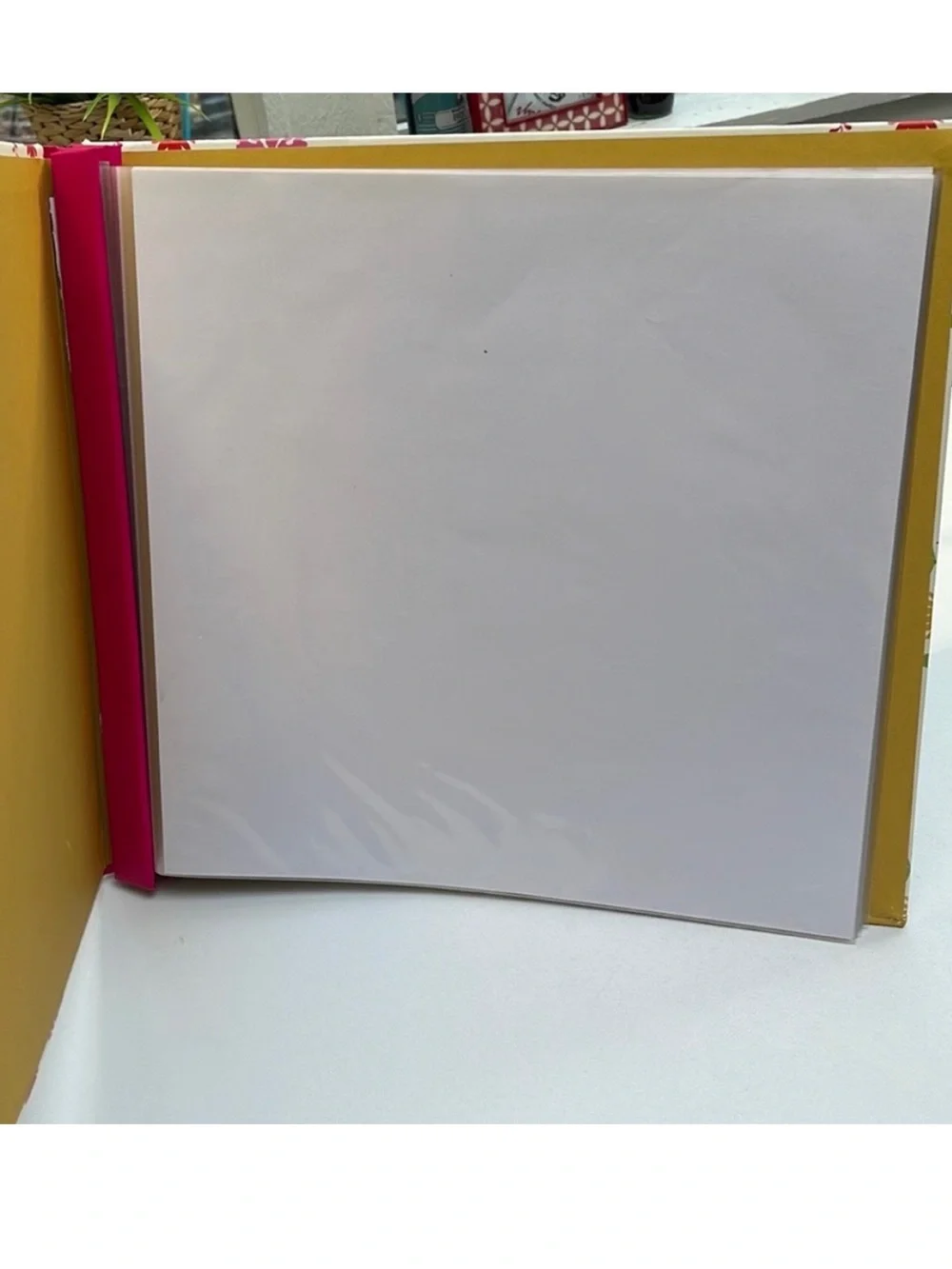 Birds Scrapbook/Photo album/Junk Journal. New.